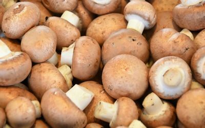 Muchos champignones amontonados