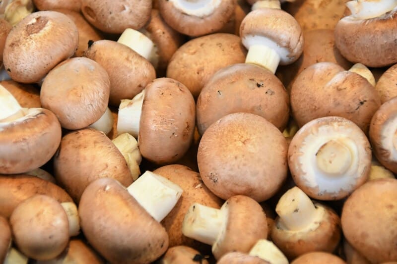 Muchos champignones amontonados