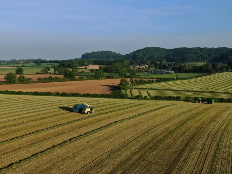 Campo sembrado con tractor