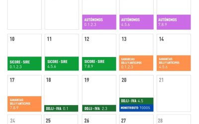 Calendario de vencimientos impositivos de Argentina para el mes de Noviembre de 2025