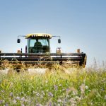 Máquina agrícola recogiendo alfalfa en el campo