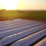 silobolsas en el campo