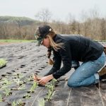 Mujer cosechando en una plantación