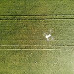 Drone volando sobre el campo