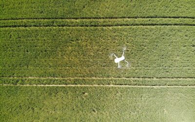 Drone volando sobre el campo