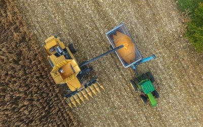 Cosechadora cosechando granos