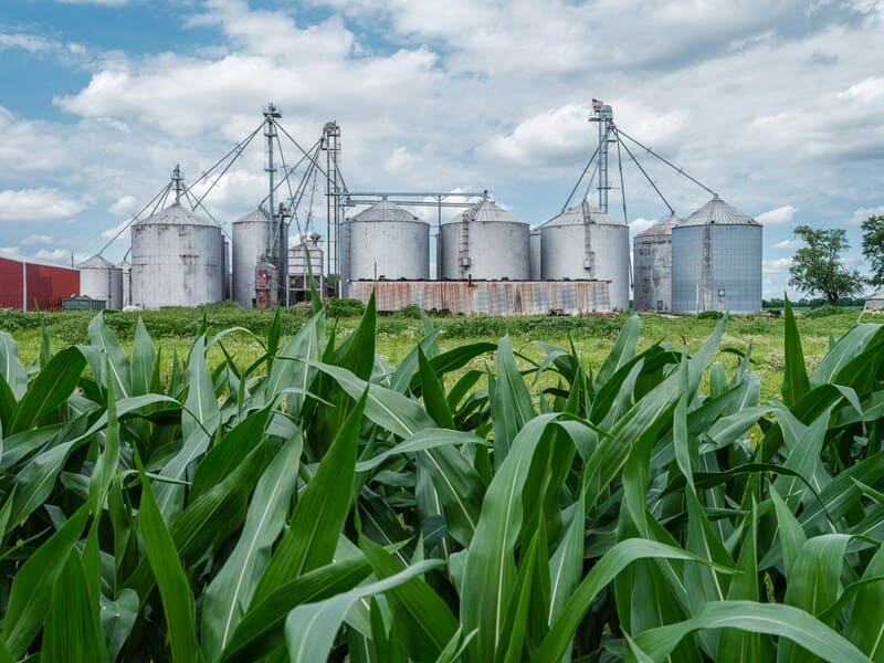 Silo en el campo rodeado de siembra