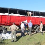 gente cargando bolsas en un camión