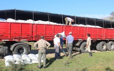 gente cargando bolsas en un camión