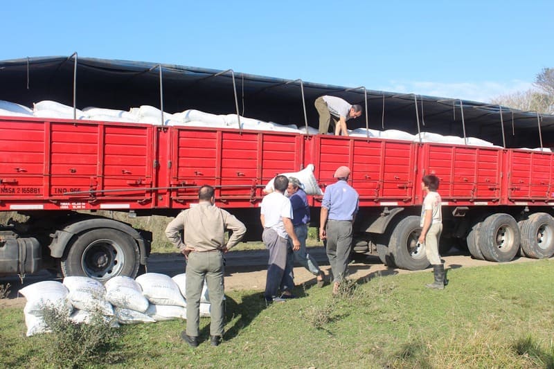 gente cargando bolsas en un camión