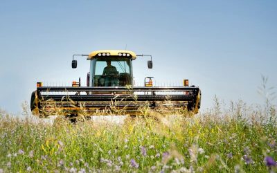 Tractor en un campo de alfalfa