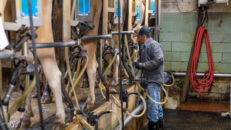 trabajador en un tambo