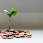Plantita creciendo entre monedas