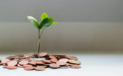 Plantita creciendo entre monedas