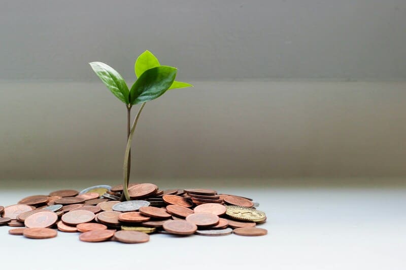 Plantita creciendo entre monedas
