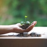 plantita creciendo en una mano