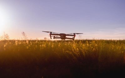 dron sobre el campo