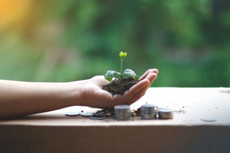 Mano con planta y monedas