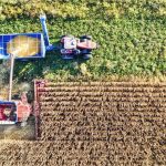 maquina agrícola cosechando