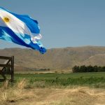 bandera argentina en el campo