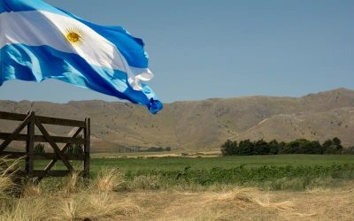bandera argentina en el campo
