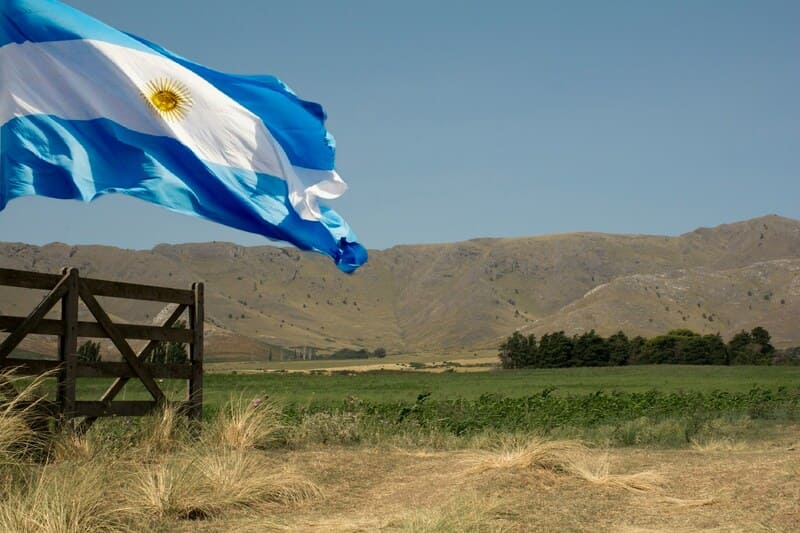 bandera argentina en el campo
